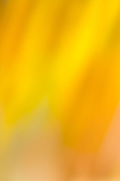 istock Colorful defocus motions lights. Bokeh lights blurred background effect 1060579758