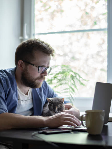 istock A bearded man in glasses concentrates working with a laptop, next to it there is a sleeping cat, the background of the window. 1060580040