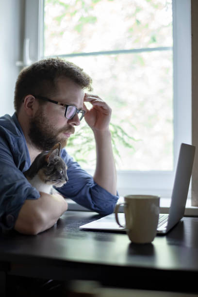 homme barbu dans des verres avec un chat mignon sur ses mains travaillent intensément avec un ordinateur portable sur l’arrière-plan de la fenêtre. - desk on the phone sitting table photos et images de collection