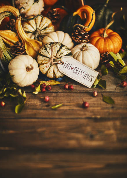 istock Welcoming fall with pumpkin assortment still life and blessings greeting 1060580680
