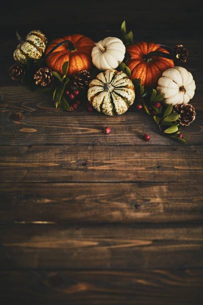 istock Pumpkin assortment still life for Thanksgiving 1060580754