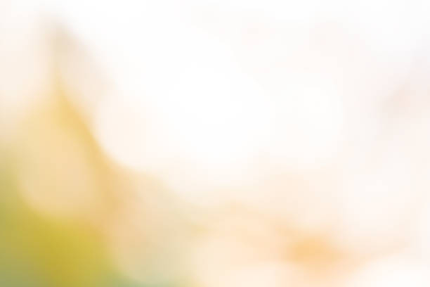 istock Beautiful background on pastel color. Pastel bokeh background 1060582118