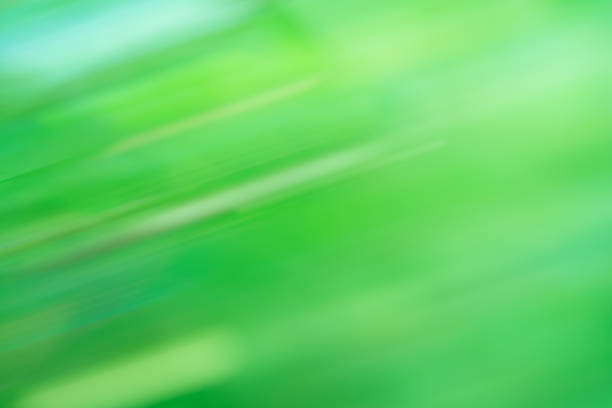 istock Abstract green bokeh motion. Abstract moving bokeh background. 1060583154