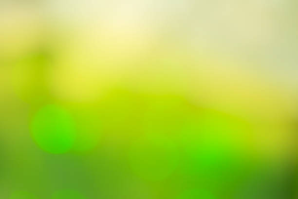 istock Defocused green lights background. Green glitter bokeh background. 1060583372