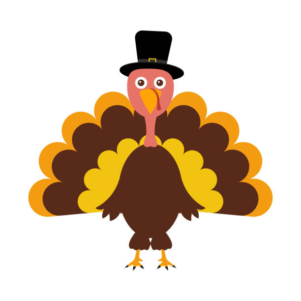 660+ Thanksgiving Funny Of Turkey Backgrounds Stock Illustrations