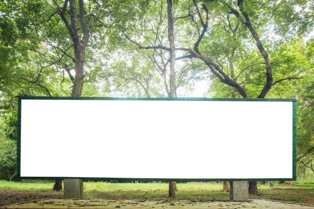 istock green forest nature background with eco label. 1060583826