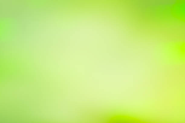 istock Defocused green lights background. Green glitter bokeh background. 1060583968