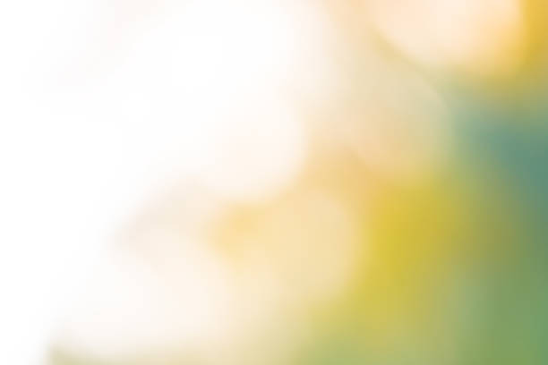 istock Beautiful background on pastel color. Pastel bokeh background 1060586138