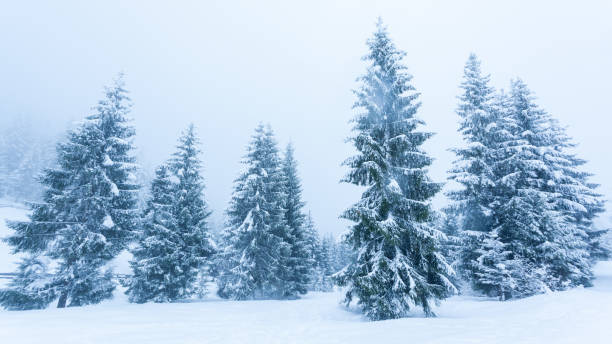 istock Beautiful winter landscape with snow covered trees. Winter mountains. 1060586282
