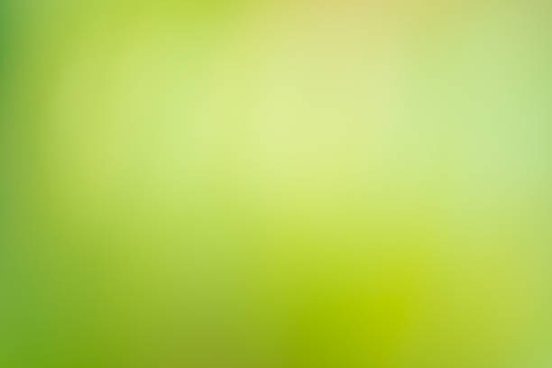 istock Green bokeh background. Green bio blurred background. 1060586438