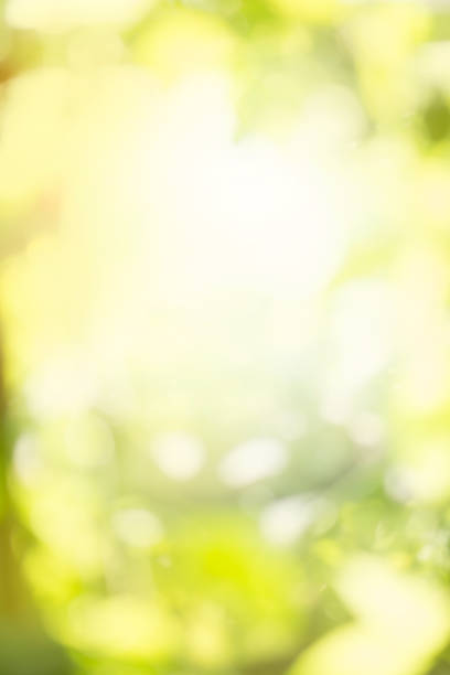 istock Green bokeh background. Defocused abstract green background. 1060586776