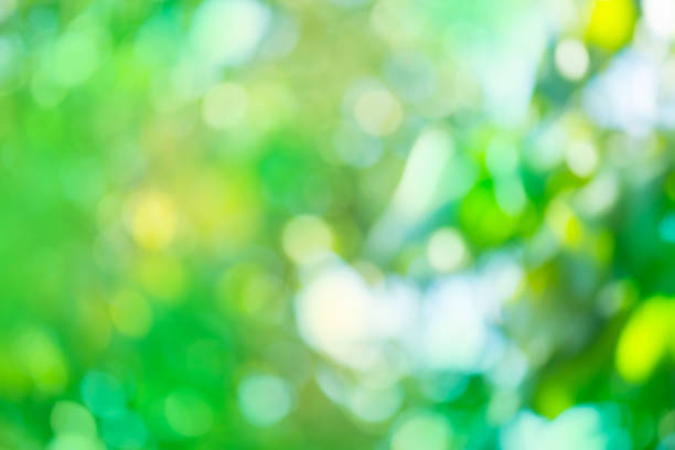 istock Green bokeh background. Green bio blurred background. 1060588096