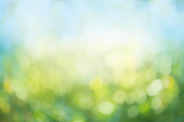 istock Green bokeh background. Defocused abstract green background. 1060588972