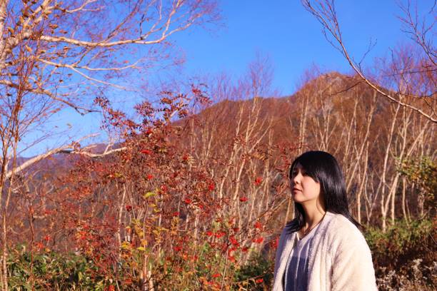 Autumn leaves travel