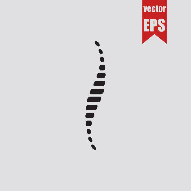 Rachiocampsis icon.Vector illustration. Rachiocampsis icon.Vector illustration. spine stock illustrations
