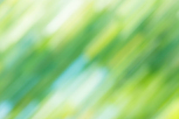 istock Abstract green bokeh motion. Abstract moving bokeh background. 1060589192