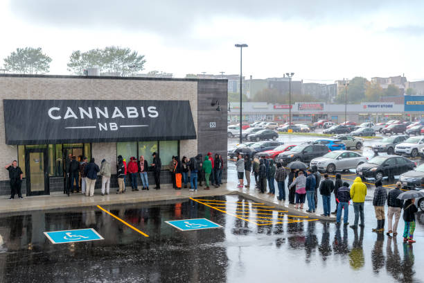 Waiting In The Rain For Cannabis Saint John, New Brunswick, Canada - October 17, 2018: People waiting in pouring rain to purchase cannabis legally from a Cannabis NB store on the first day of legalization in Canada. st john's plant stock pictures, royalty-free photos & images