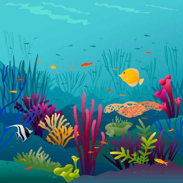 Coral fish Coral fish underwater background. saltwater fish stock illustrations