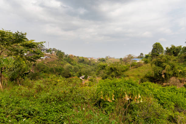 istock Mae Salong chinese village Thailand 1060604002