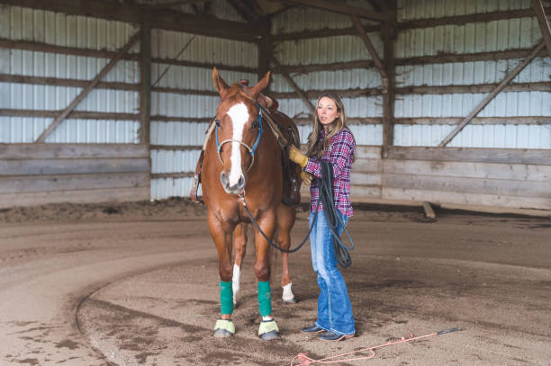 istock Woman training a horse 1060608232