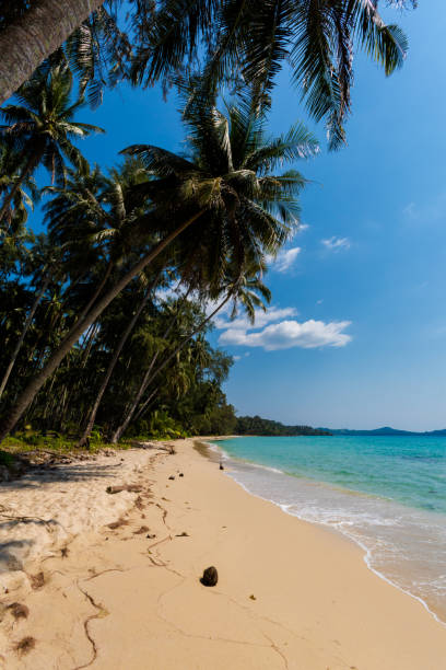 istock Tropical landscape of Koh Kood 1060609952