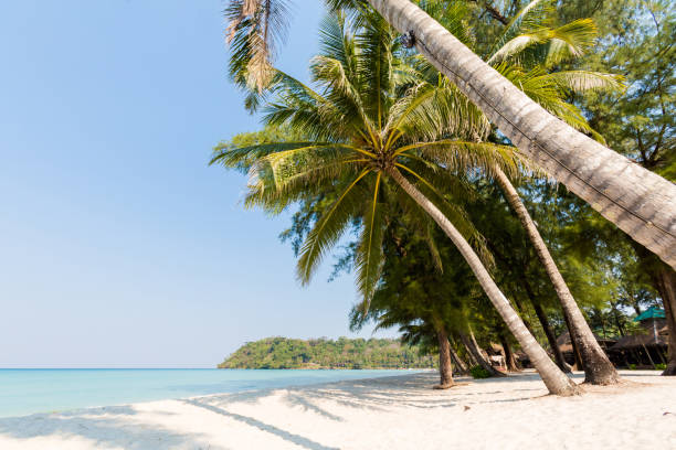 istock Tropical landscape of Koh Kood 1060613200