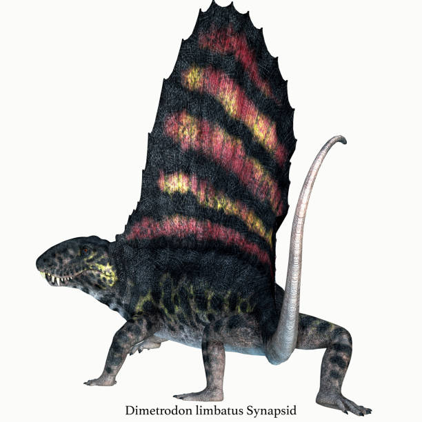 istock Dimetrodon Permian Reptile Tail with Font 1060614270