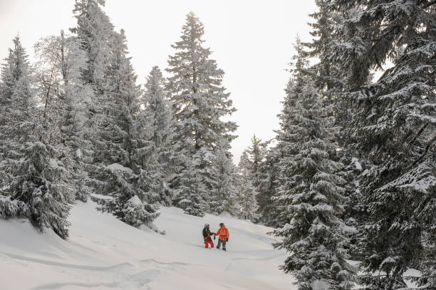 istock Two snowboarders standing in the between snowcovered trees 1060619452