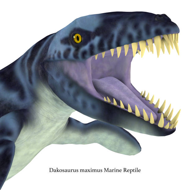 istock Dakosaurus Marine Reptile Head with Font 1060620510