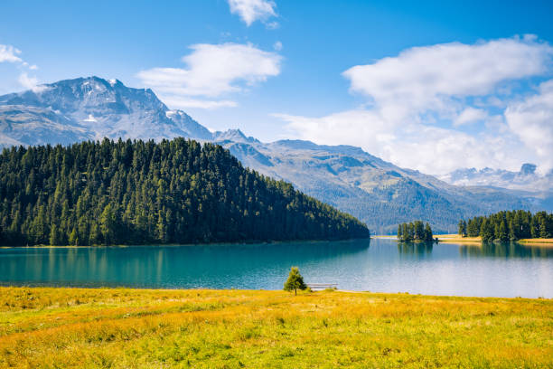 gran vista de la laguna azul champfer en valle alpino. ubicación suiza alpes, pueblo de silvaplana, europa. - champfer fotografías e imágenes de stock