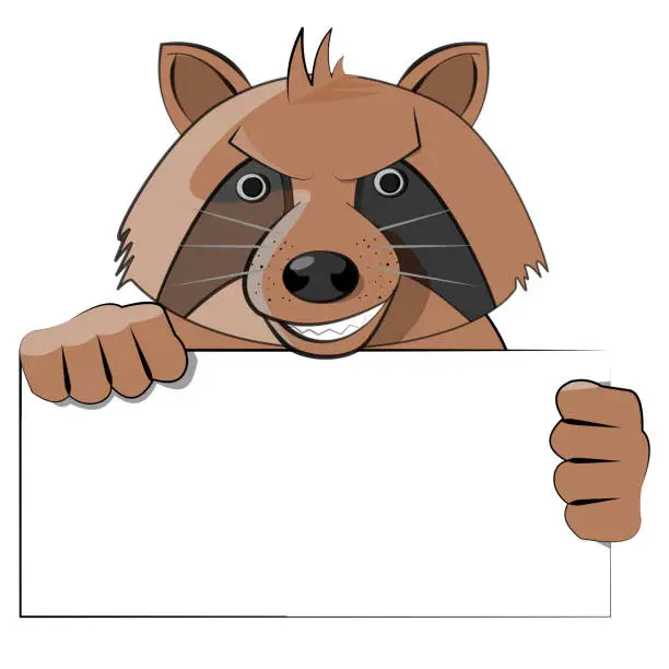 Vector illustration of Raccoon holding blank sign