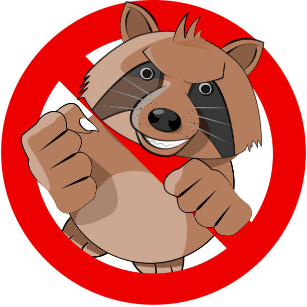 ilustrações de stock, clip art, desenhos animados e ícones de no raccoons sign - desperdício alimentar