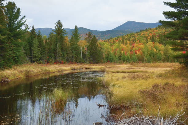 istock Colorful fall foliage around Stratton Brook Pond, Maine. 1060630310