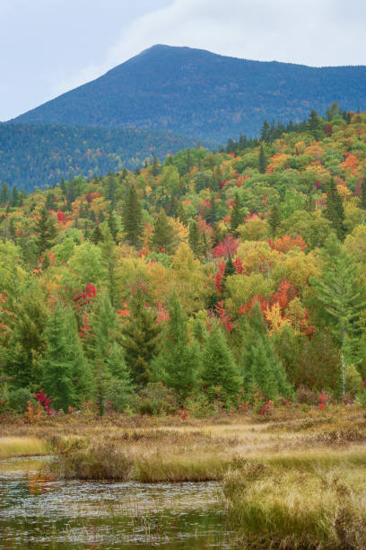 istock Colorful fall foliage around Stratton Brook Pond, Maine. 1060630450