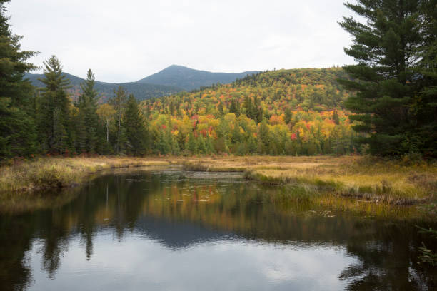 istock Colorful fall foliage around Stratton Brook Pond, Maine. 1060630470
