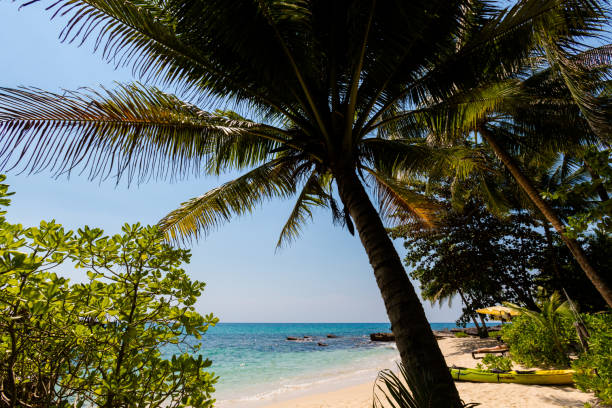 istock Tropical landscape of Koh Kood 1060634028