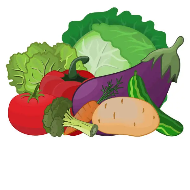 Vector illustration of Vegetables isolated