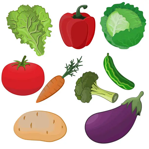 Vector illustration of Vegetables isolated