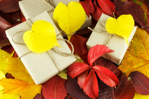 istock copy spase, three gift boxes on the background of leaves 1060636664