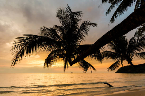 istock Sunset landscape on Koh Kood 1060637990