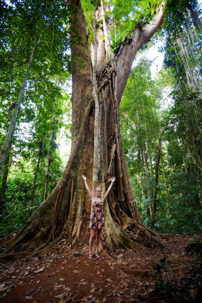 istock Jungle trekking on Koh Kood 1060638076