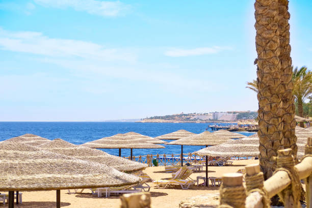 istock Landscape Seascape tourism empty sandy beach without people 1060641370