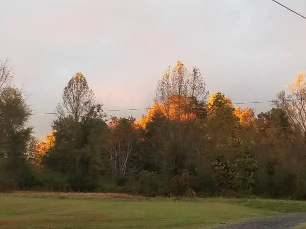 Love how the tree tops seem to change colors as the sun slowly goes down.