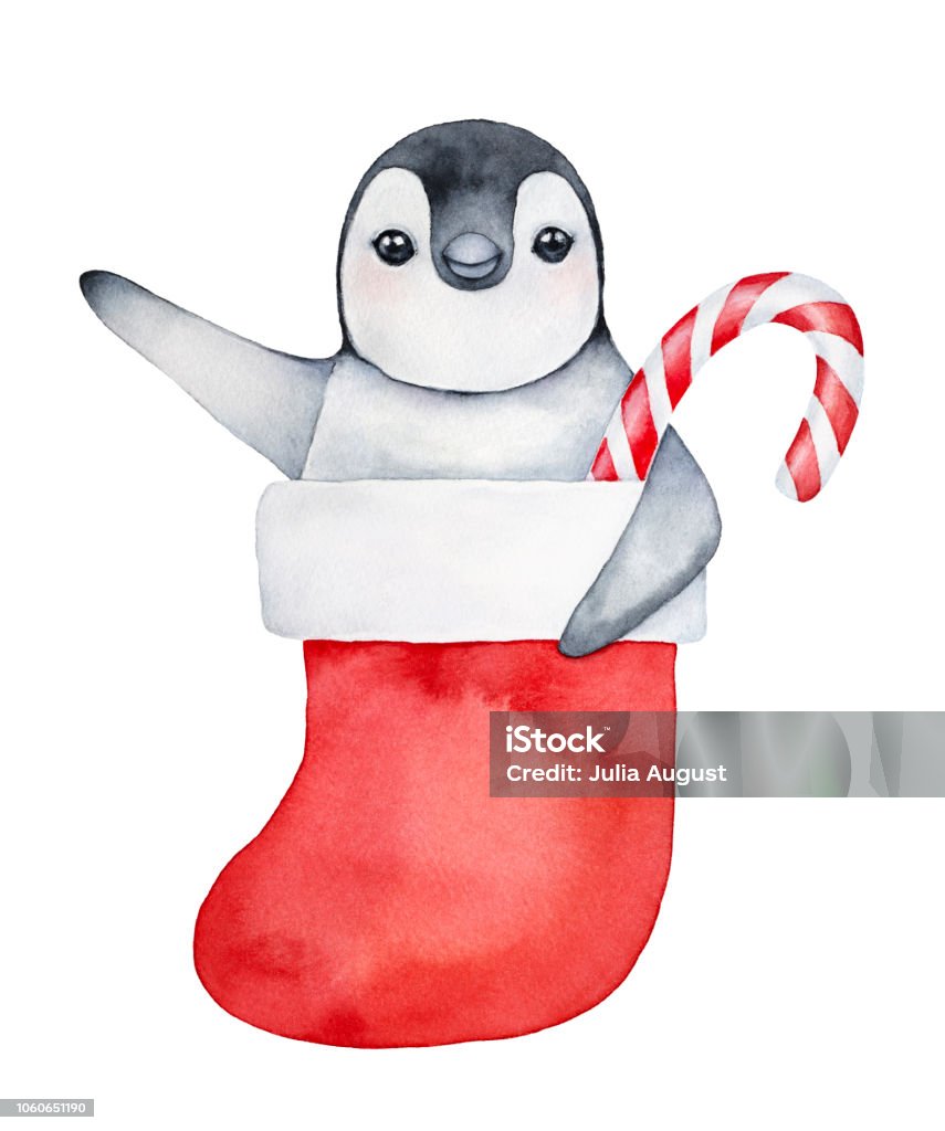 Chú Chim Cánh Cụt Nhỏ Dễ Thương Ngồi Trong Chiếc Vớ Giáng Sinh Mềm ...