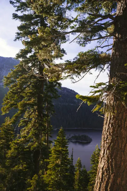 Emerald Bay portrait view with Fannette Island in South Lake Tahoe California in the Sierra Nevada mountains. Golden hour