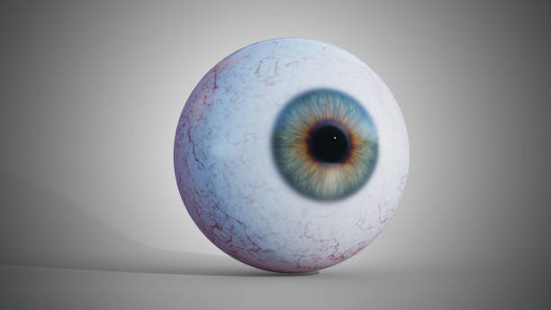 istock 3D rendered illustration of eyeball. 1060663066