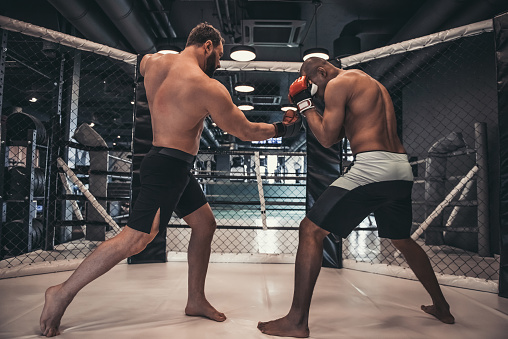 Two men in boxing gloves and shorts are fighting in cage