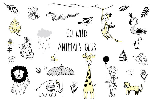 Doodle set of cute tropical animals lion, monkey, elephant, giraffe, flamingo, bird, snake, butterfly and leaves isolated on white. Vector. Doodle set of cute tropical animals lion, monkey, elephant, giraffe, flamingo, bird, snake, butterfly and leaves isolated on white. Vector illustration. sketches of elephants background stock illustrations