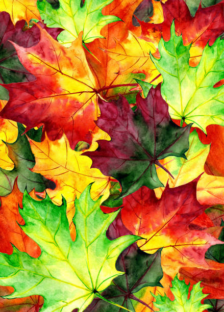 istock Background of autumn leaves painted with watercolor. Maple leaves 1060670156