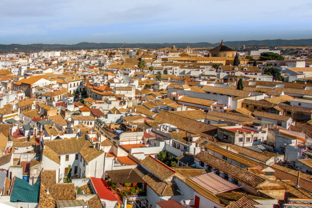 istock Rooftop in Cordoba, Spain 1060679930